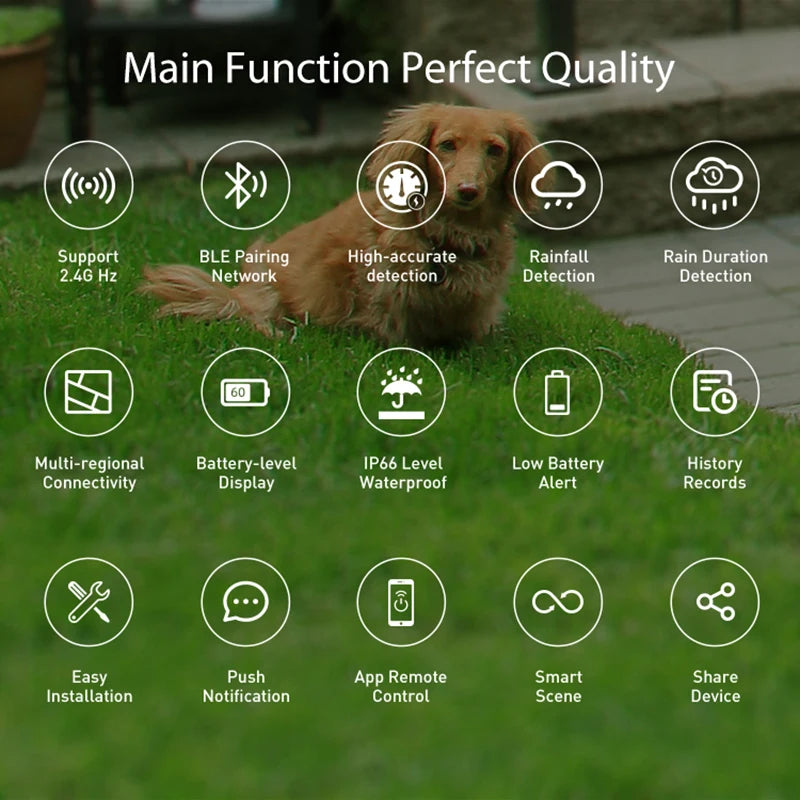WiFi Rain Sensor Rainfall Duration Leakage Detection Outdoor Waterproof Battery Tuya Smart Life App Control Home Automation Zpaxo
