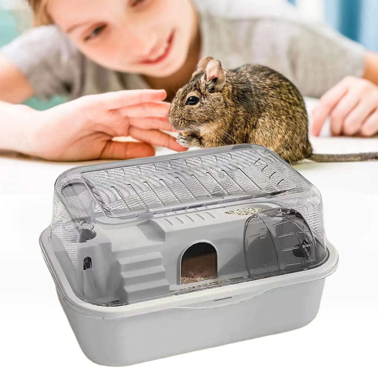 Double Layer Large Hamster Cage Exercise Wheel Luxury Pet House Nest