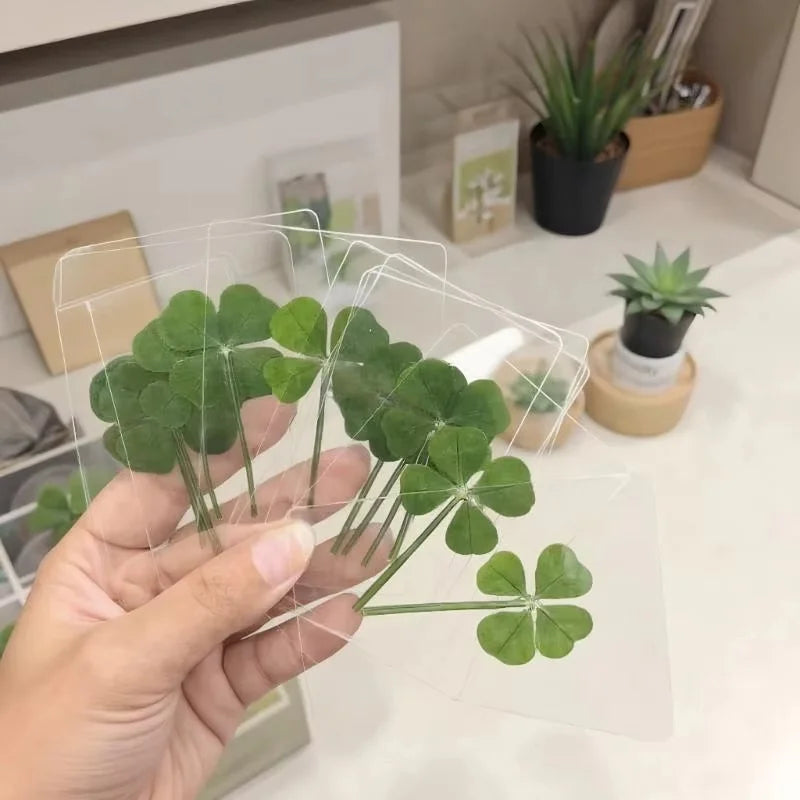 Lucky Four-leaf Clover Postcards Grass Acrylic Transparent Wishing Zpaxo
