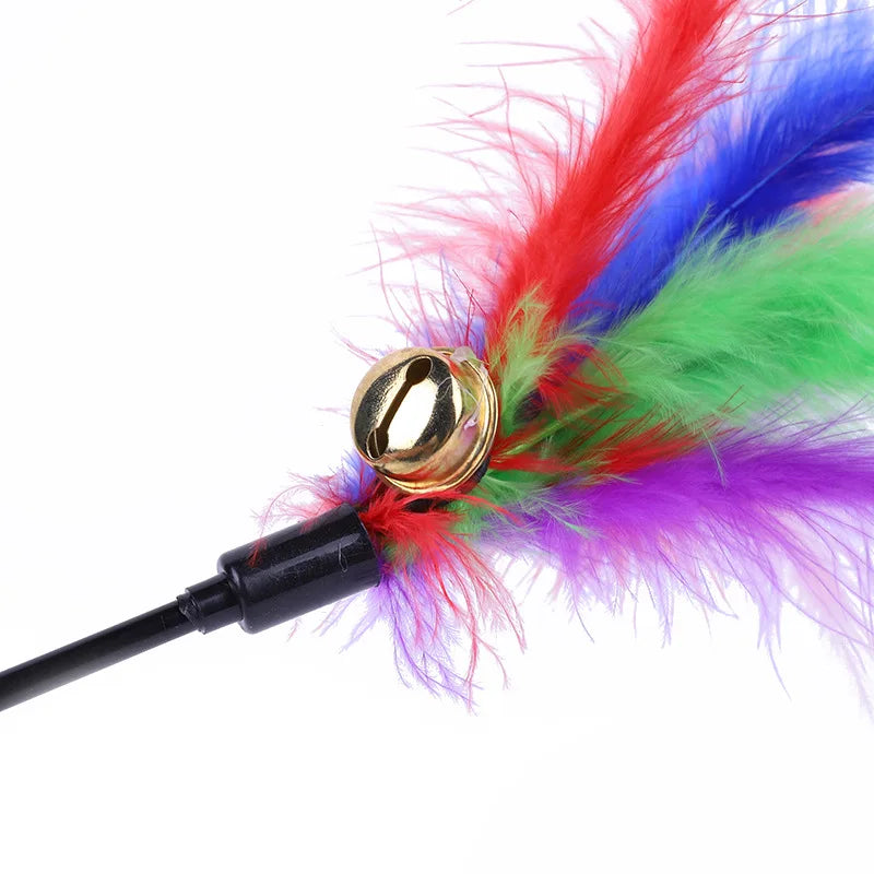 Funny Kitten Cat Teaser Interactive Toy Rod Bell Feather Toys Pet