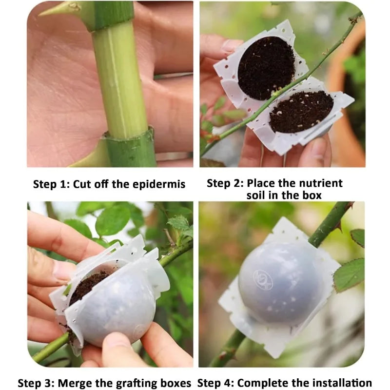 Plant Rooting Ball Grafting Rooting Box Breeding Case High Pressure Plant Root Growing Box for Garden Planting Supply Zpaxo
