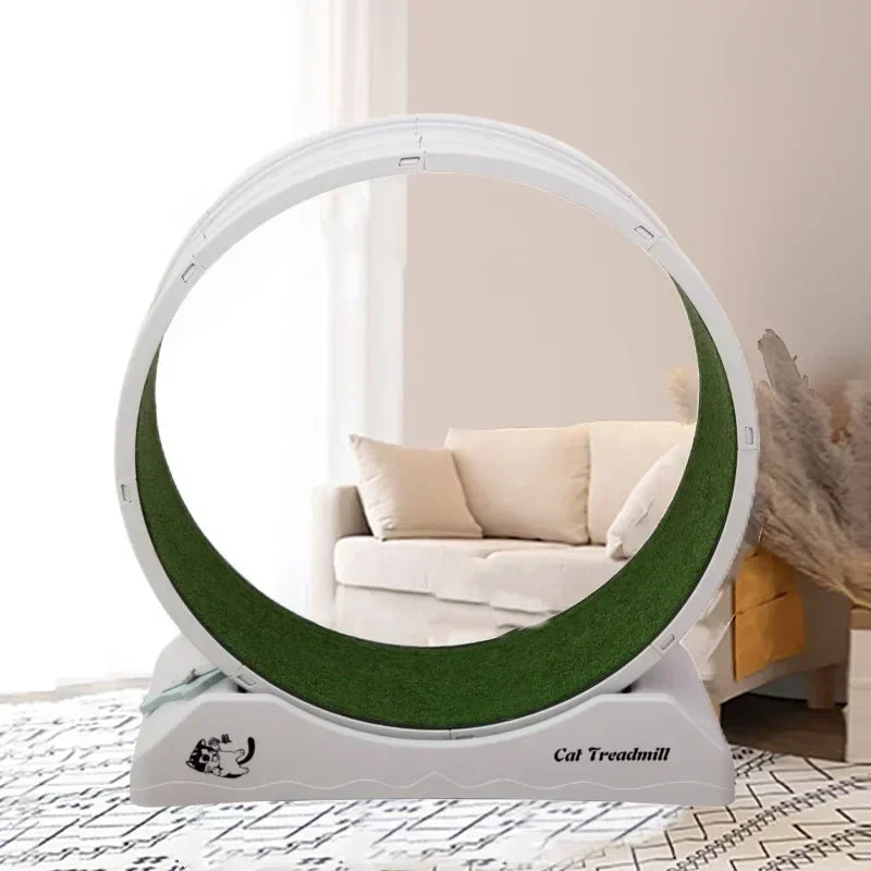Silent Cat Exercise Wheel – Wear-Resistant Fitness Treadmill
