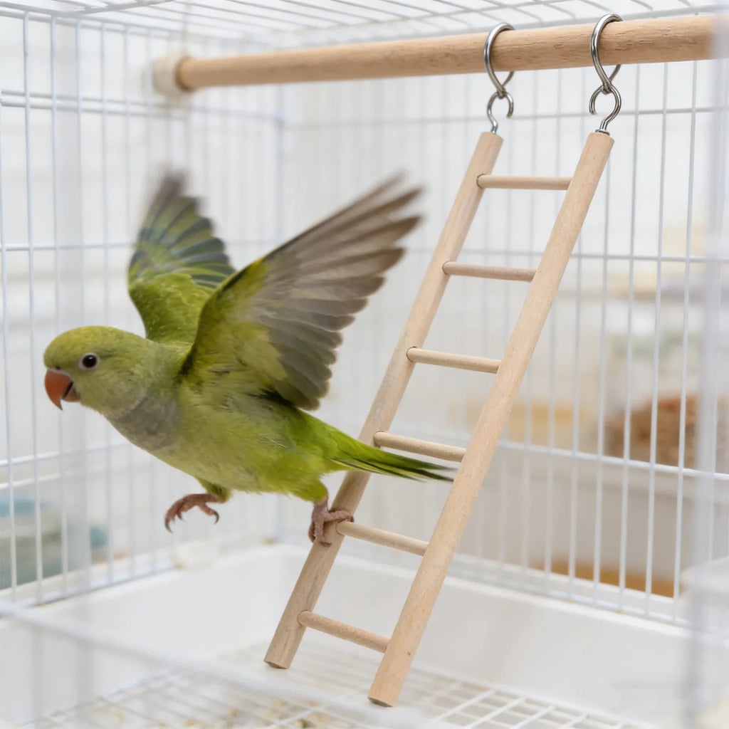 Cockatiel Parrot Ladder Wooden Swing Hanging Suspension Bridge