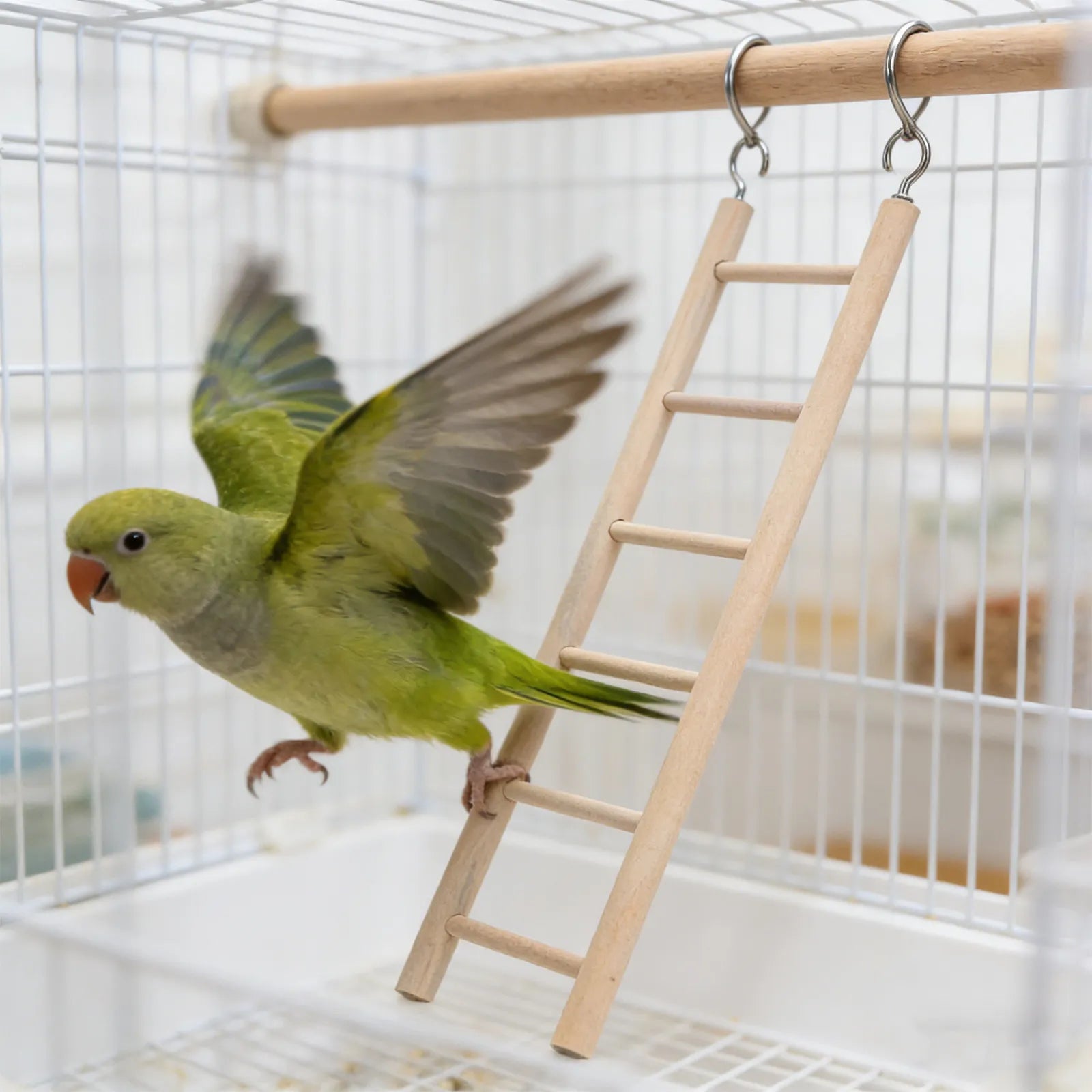 Cockatiel Parrot Ladder Wooden Swing Hanging Suspension Bridge