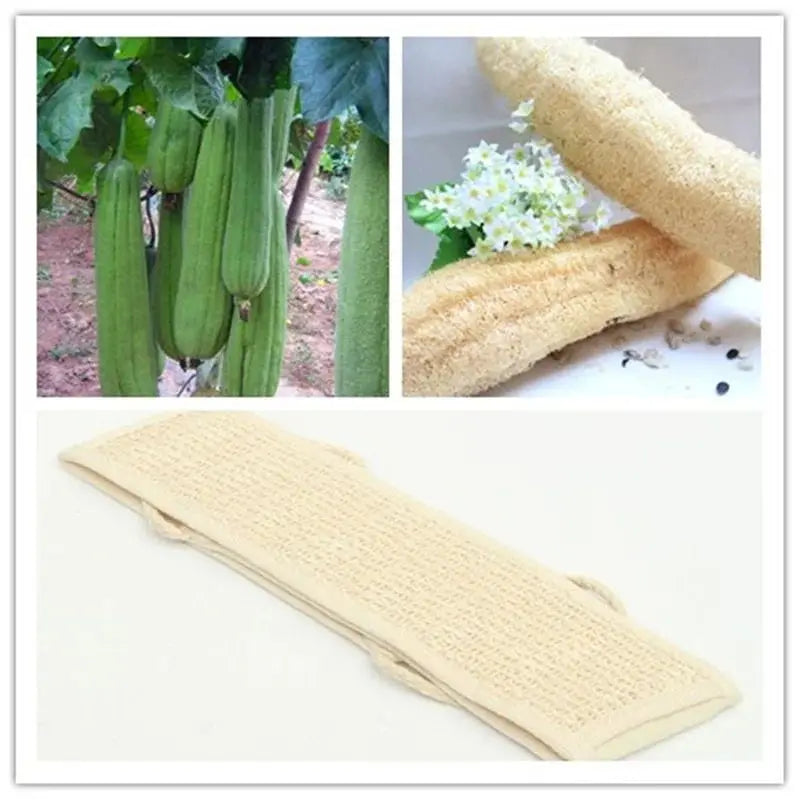 Natural Loofah Exfoliating Bath Scrubber – Unisex Body Sponge Exfoliating Bath Scrubber Zpaxo