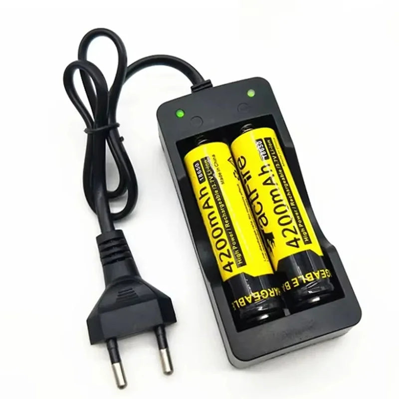 Universal 2 Slot Battery Charger Dual Slots USB Batteries Smart 18650