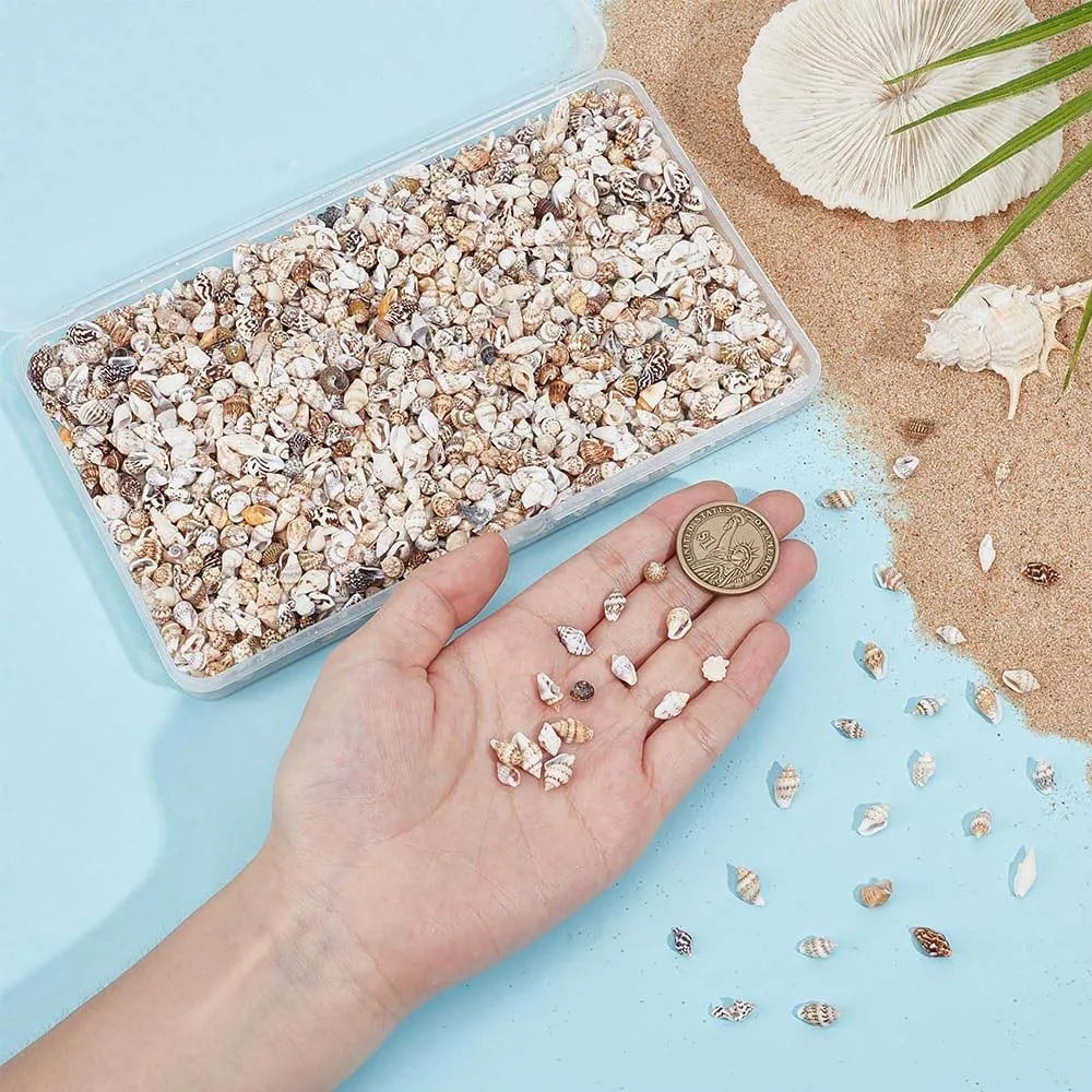 Miniature Spiral Seashells for Resin Crafting – 100pcs 20g Pack Craft Shell Embellishments Zpaxo
