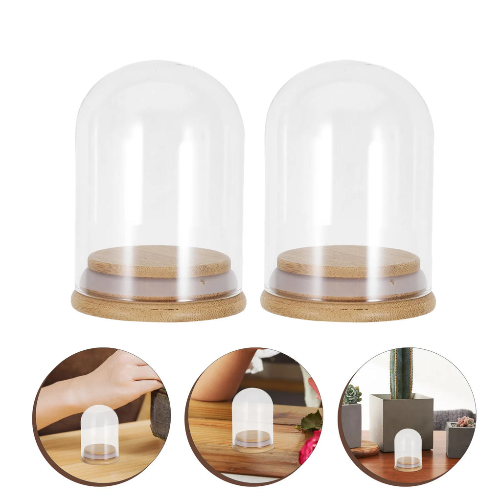 Glass Cloche Dome Display Clear 2 8x2 Inch Wooden Base Dustproof Seal