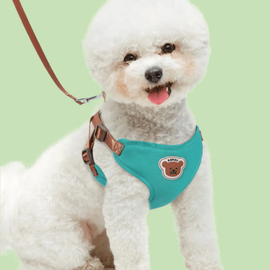 Dog Harness Leash Medium Small Dogs Comfortable Pet Chest Durable