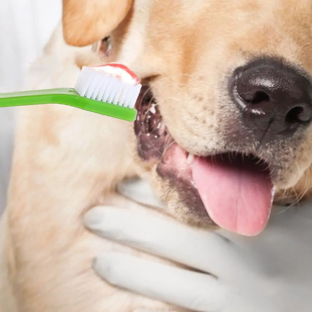 Dual-head Dog Toothbrush Pet Oral Teeth Cleaning Small Dogs Puppies
