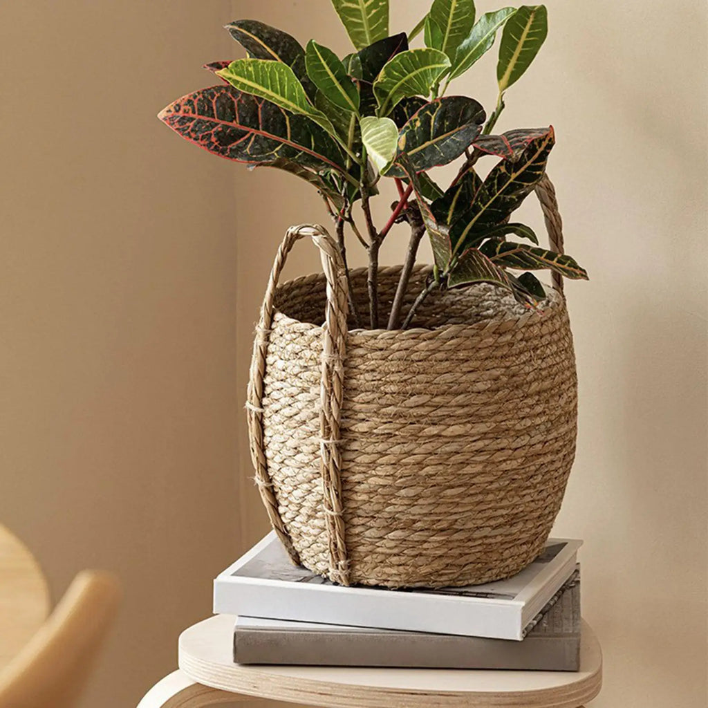 Rattan Planter Basket Rustic Organizer Handle Woven Plant Indoor