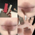 Dark Brown Silver Tube Lip Gloss Matte Velvet Waterproof Liquid