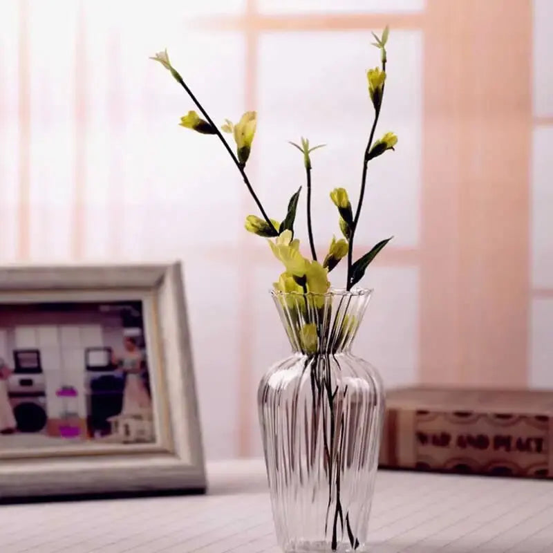Scandinavian Transparent Vase Plant Flower Pot Hydroponic Container