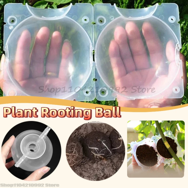 Plant Rooting Ball Grafting Rooting Box Breeding Case High Pressure Plant Root Growing Box for Garden Planting Supply Zpaxo