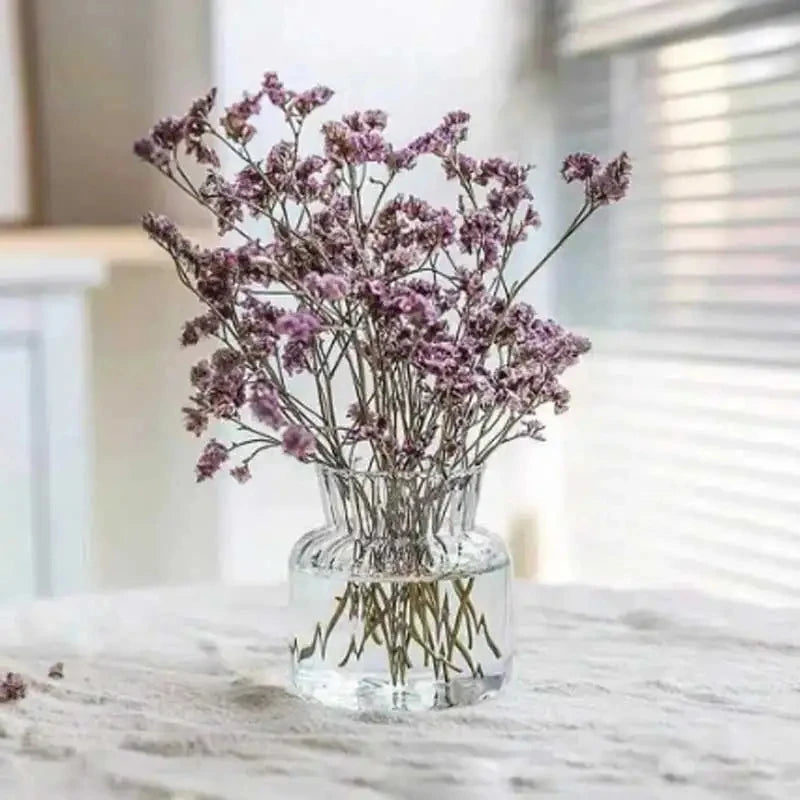 Scandinavian Transparent Vase Plant Flower Pot Hydroponic Container