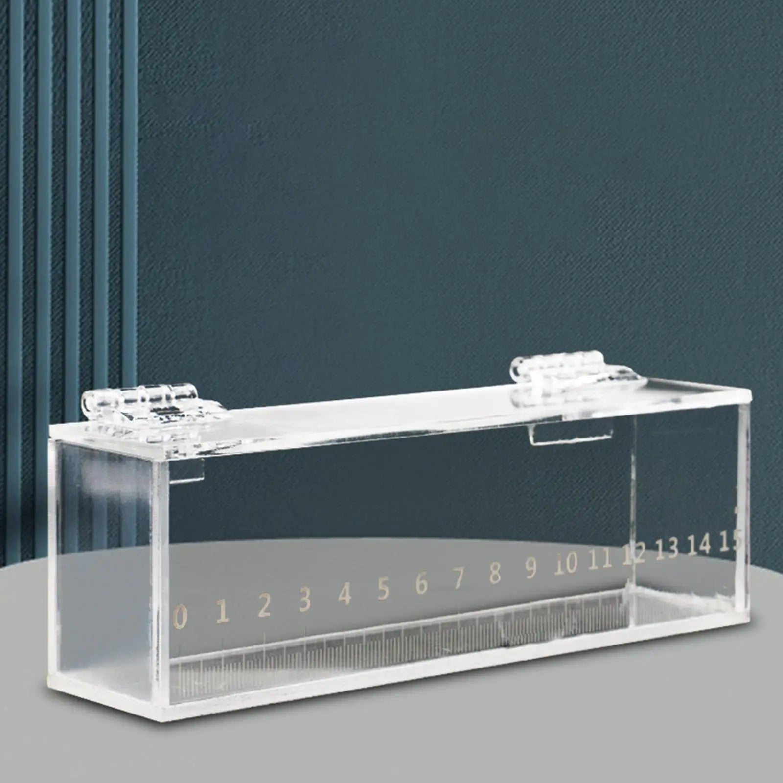 Fishing Photo Tank Acrylic Mini Aquarium Lid Fish Viewing Box Zpaxo