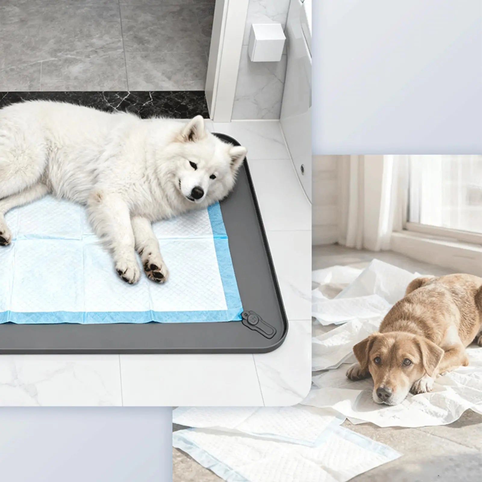 Silicone Dog Pee Pad Holder – Leak-Proof Puppy Potty Tray Puppy Potty Tray Zpaxo