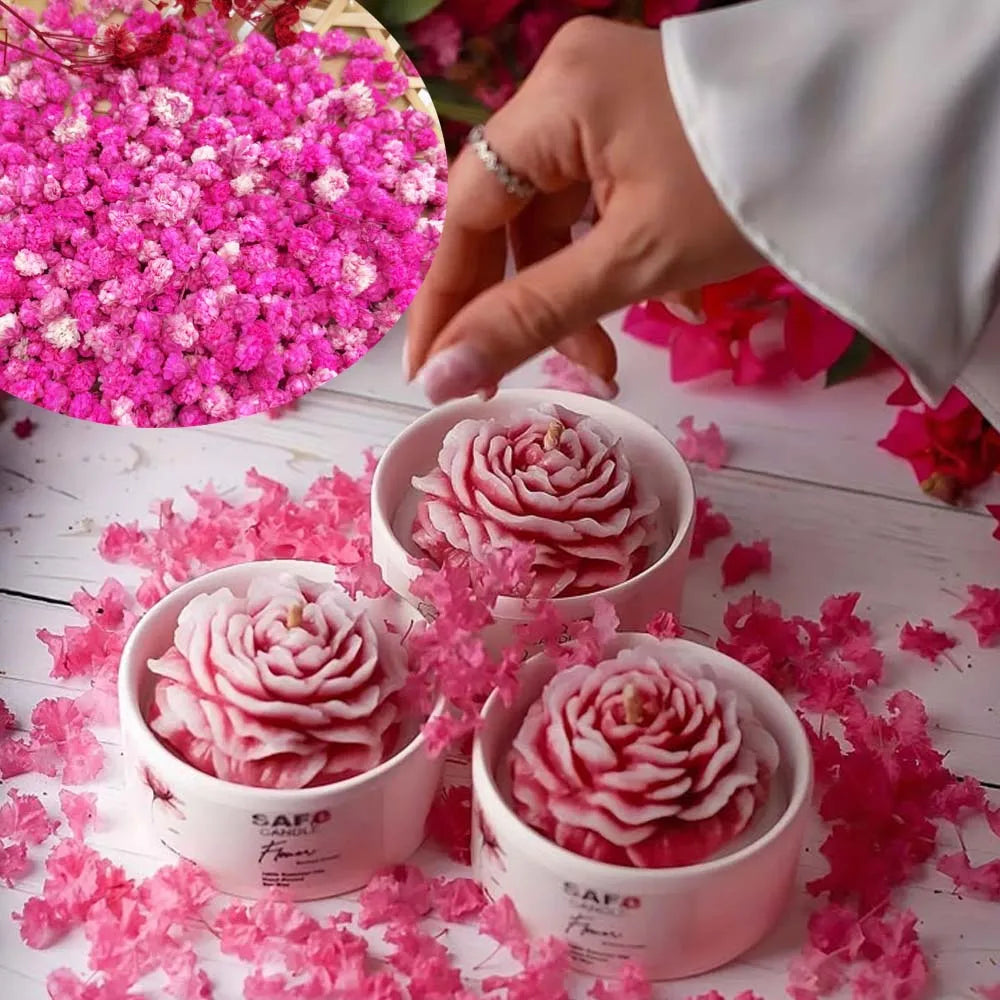 Dried Flowers Box – Candle Making, Soap, Nail Art & DIY Dried Craft Flowers Zpaxo