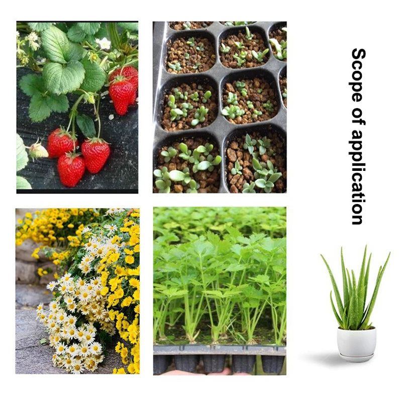 10 Plastic Seedling Trays Garden Efficient Germination Ideal Flower Zpaxo