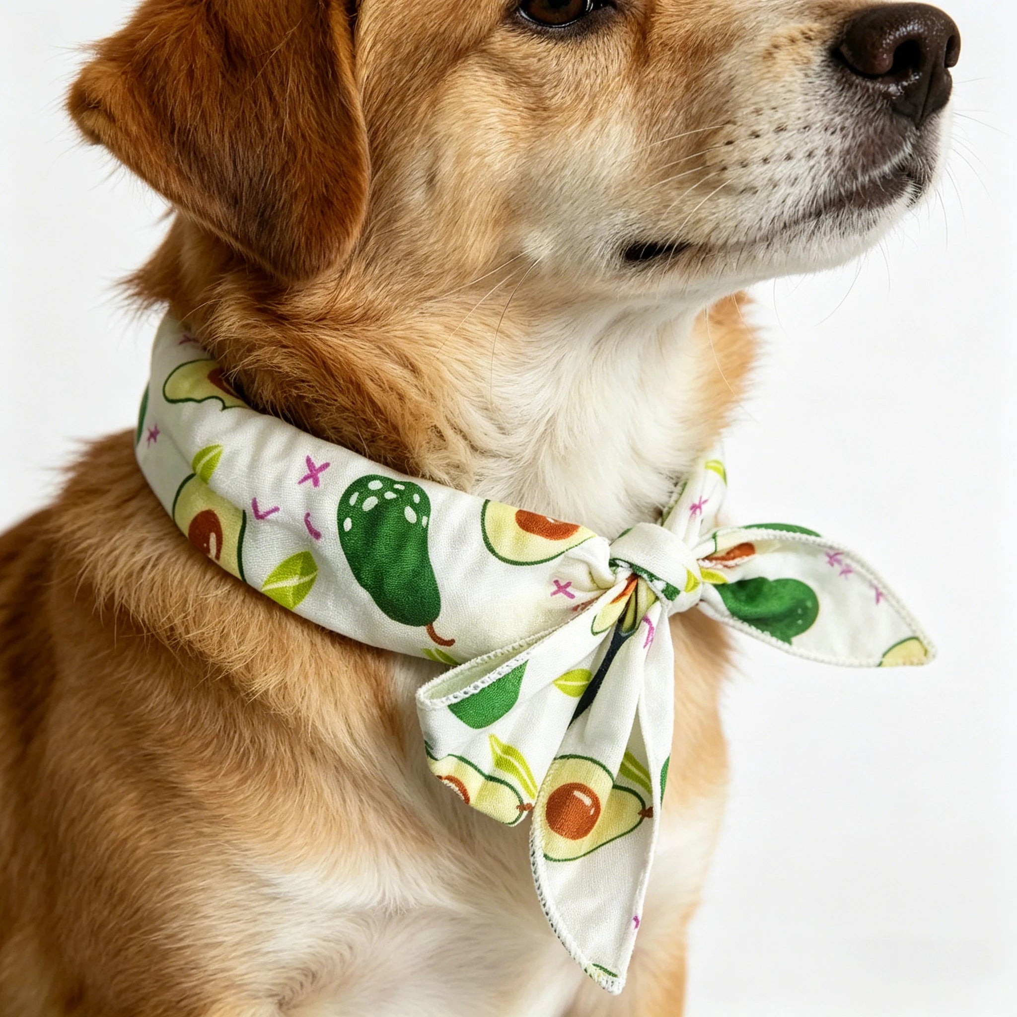 Cartoon Pet Cooling Neck Wrap Cat Dog Ice Scarf Summer Heat Relief Zpaxo Avocado 10PCS