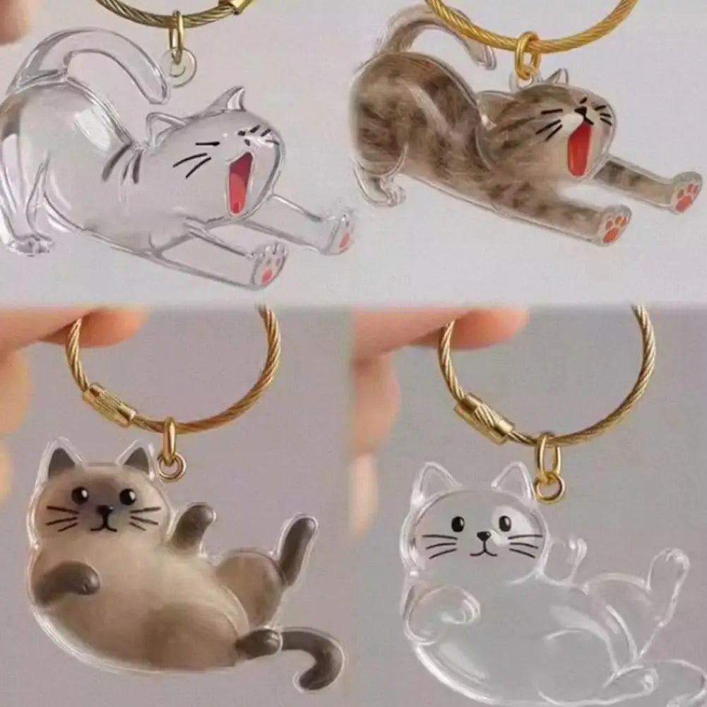 Pet Hair Keepsake Box Memorial Bottle for Cat Fur Storage Container for DIY Decoration Gift for Pet Lovers Home Display Zpaxo