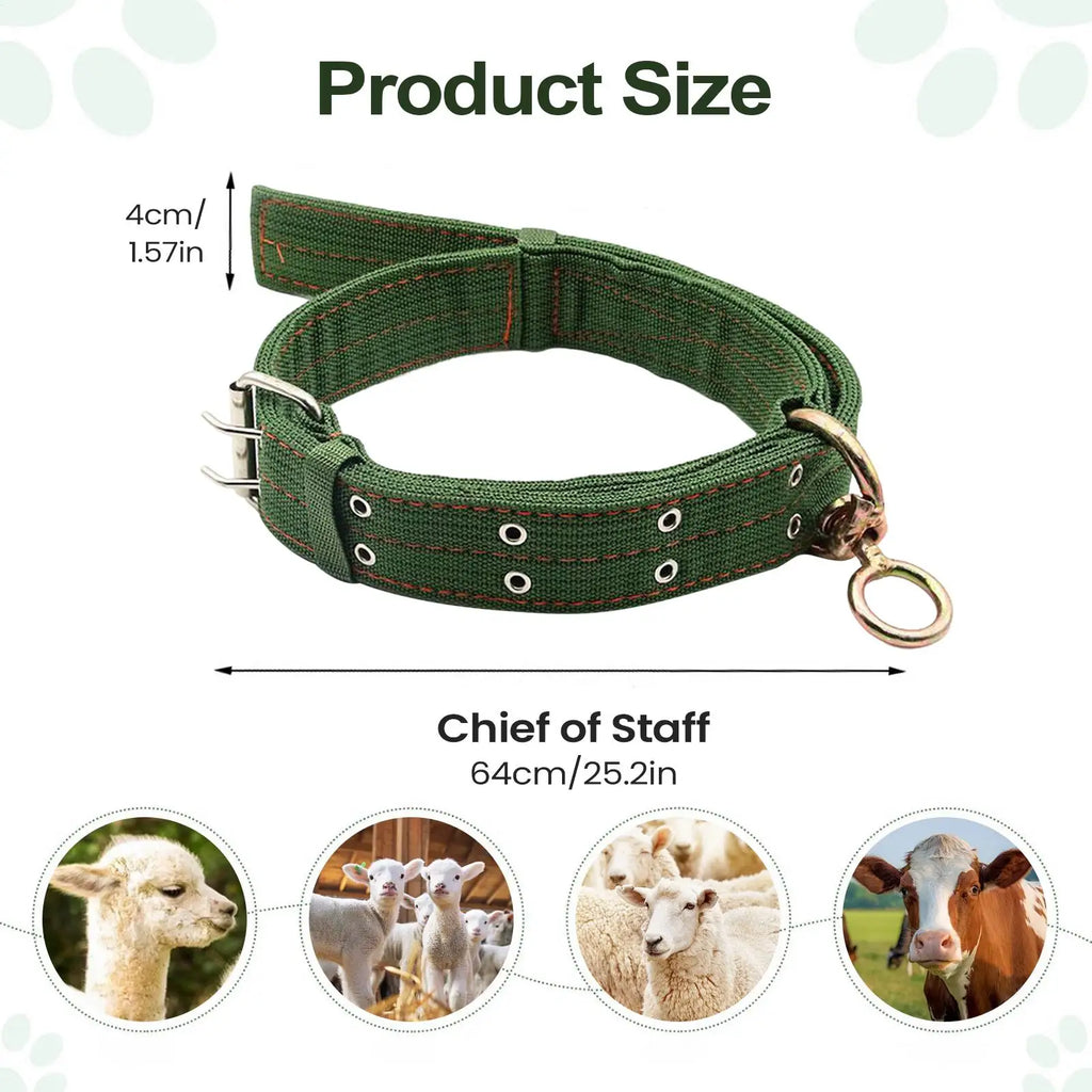 Sheep Collar Livestock Traction Necklace Abrasion-resistant Small