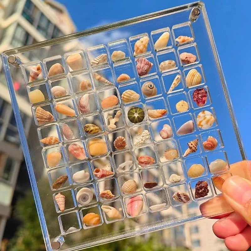 36 grids Acrylic Seashell Display Box with Magnets Durable Starfishs Trinket Storage Case for Bead Nail Jewelry Zpaxo