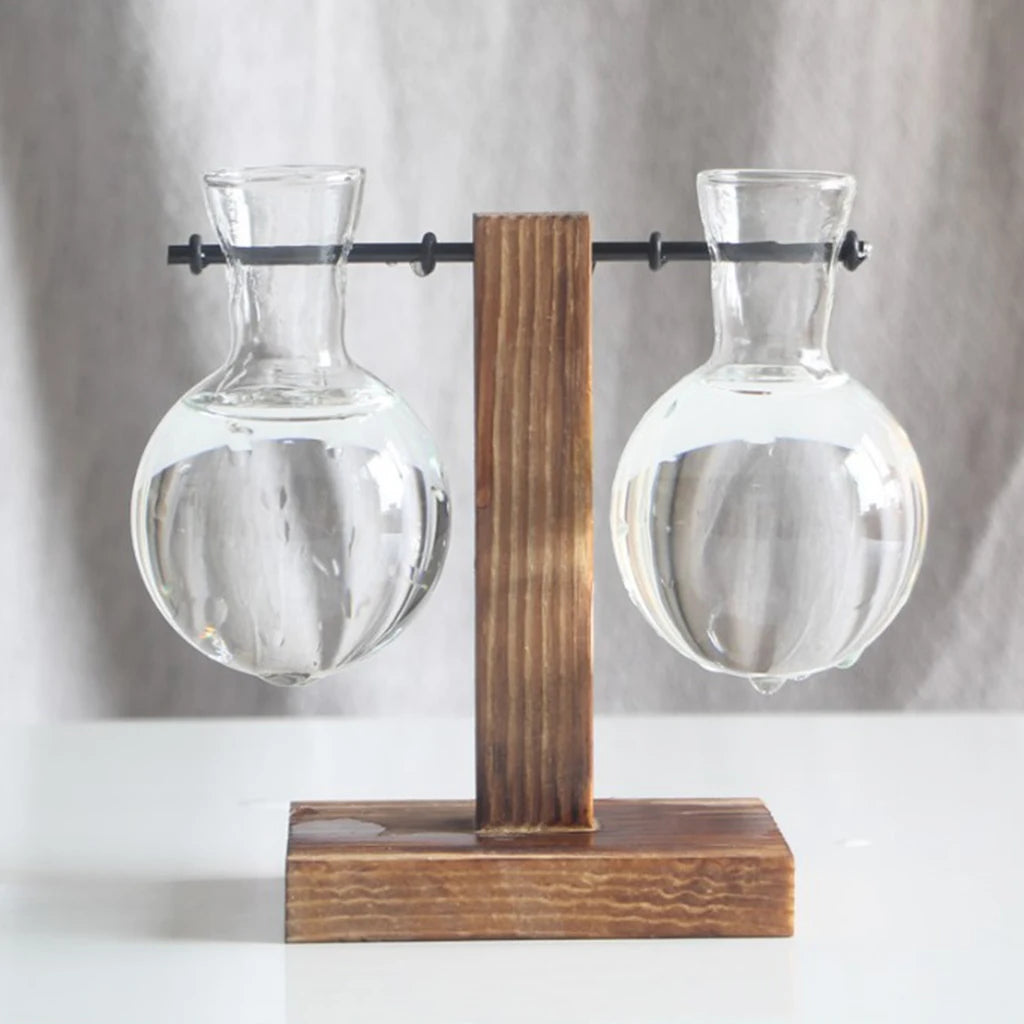 Glass Bulb Vase with Wooden Stand | Hydroponic Desktop Planter Hydroponic Glass Vase Zpaxo