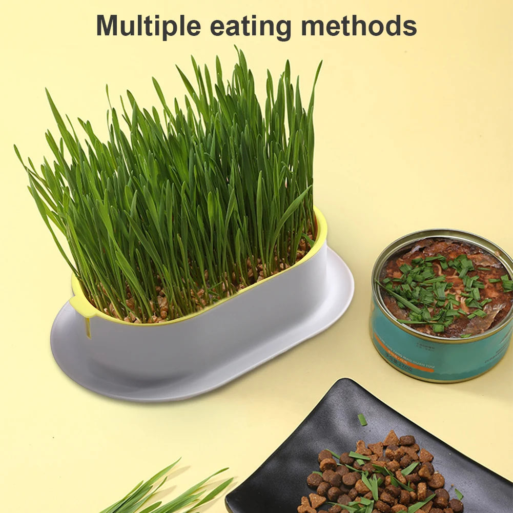 Cat Grass Planter Pet Digestion Growing Tray Box Plastic Nursery
