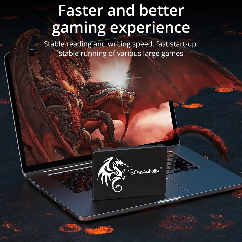 SomnAmbulist SSD 120GB 240GB 480GB 960GB Internal Sata3 Solid State Drive 2.5 128GB 256GB 512GB 1TB 2TB SSD for PC Laptop Zpaxo