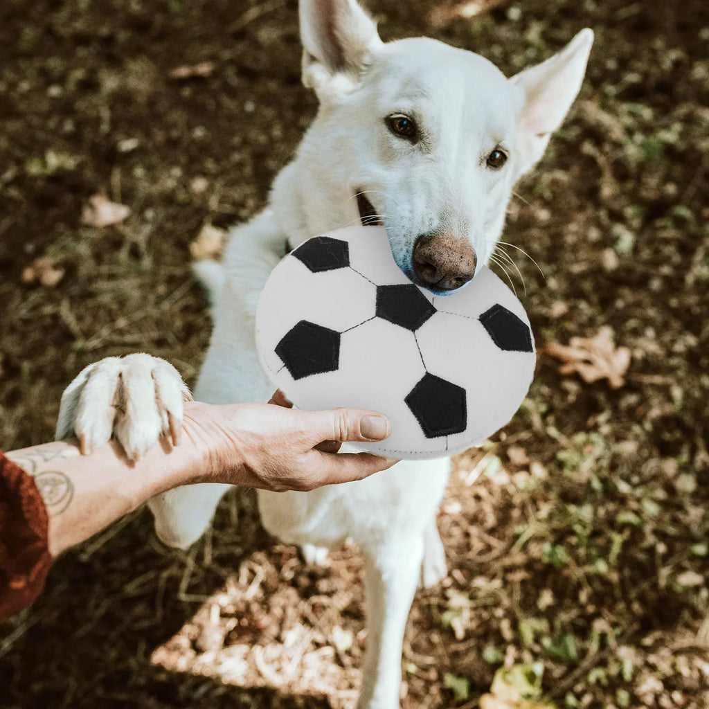 Interactive Pet Flying Disc Chewing Plaything Dog Outdoor Throwing