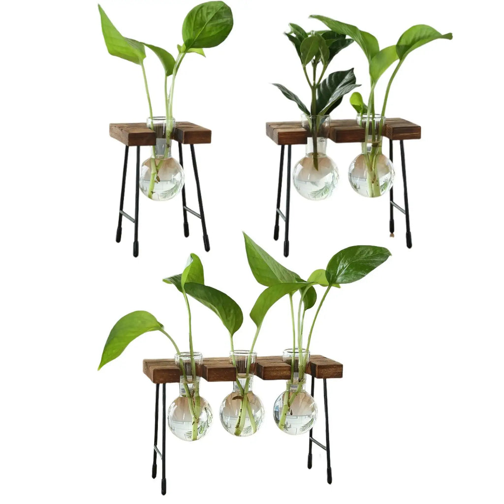 Hydroponic Glass Bud Vase with Wooden Stand | Tabletop Planter Glass Bud Vase Zpaxo