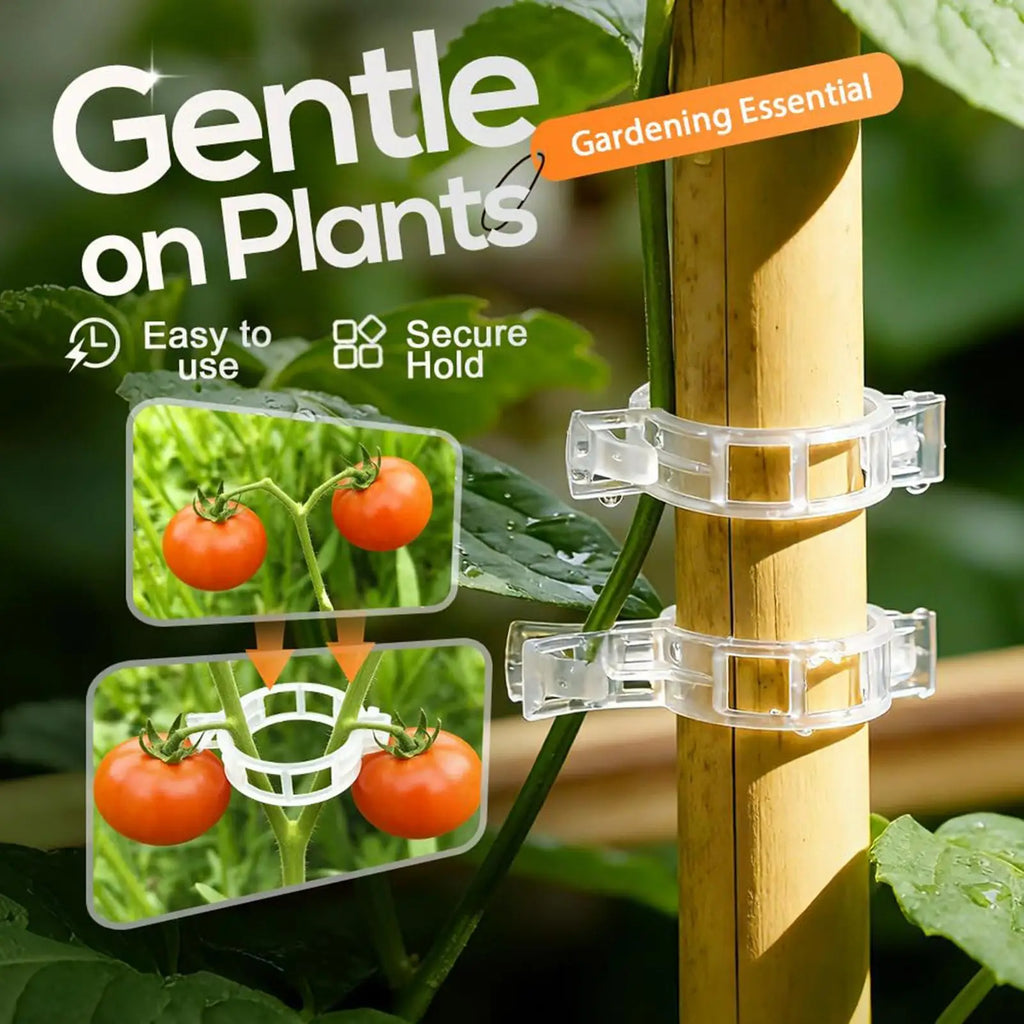 Plant Vine Clip Support Garden Tying Clamp Stem Reusable Gardening