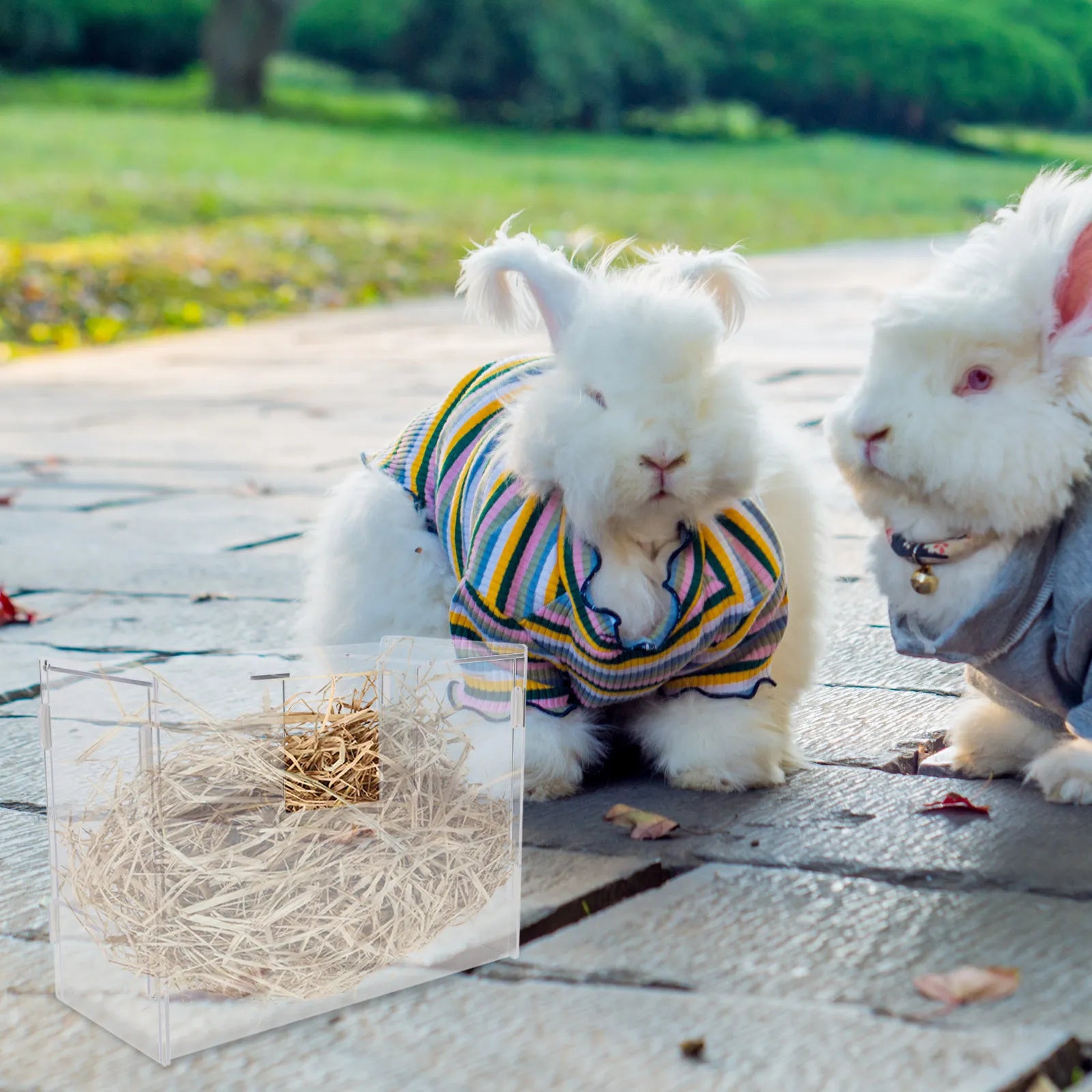 Large Capacity Acrylic Rabbit Hay Feeder Cages Integrated Toilet