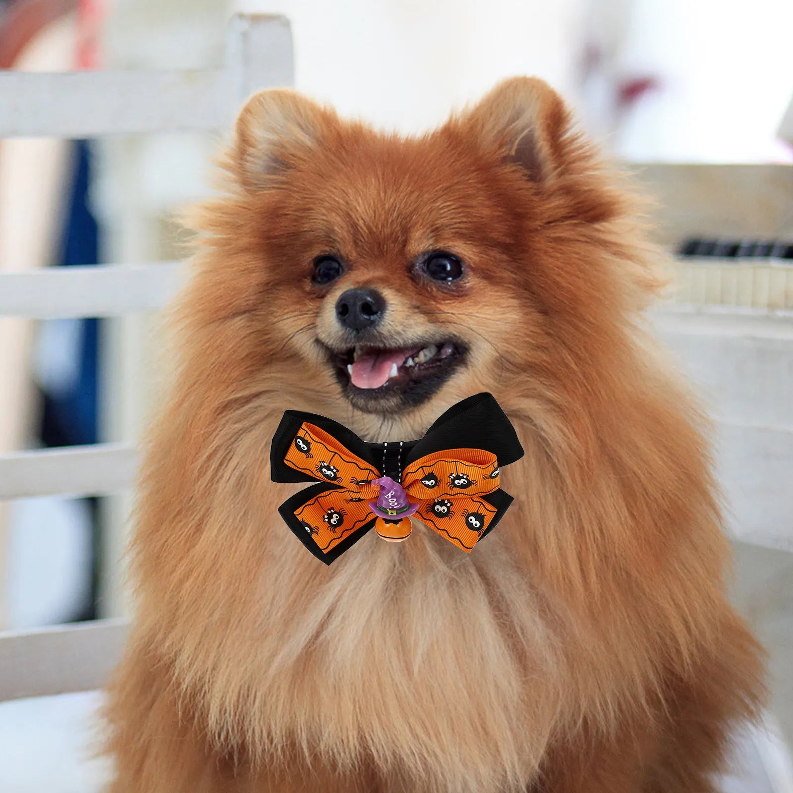 1Pcs Skin Friendly Lightweight Pet Collar with Bow Tie Bell Adjustable Neck Strap for Halloween Carnival Banquet Cat Dog Party