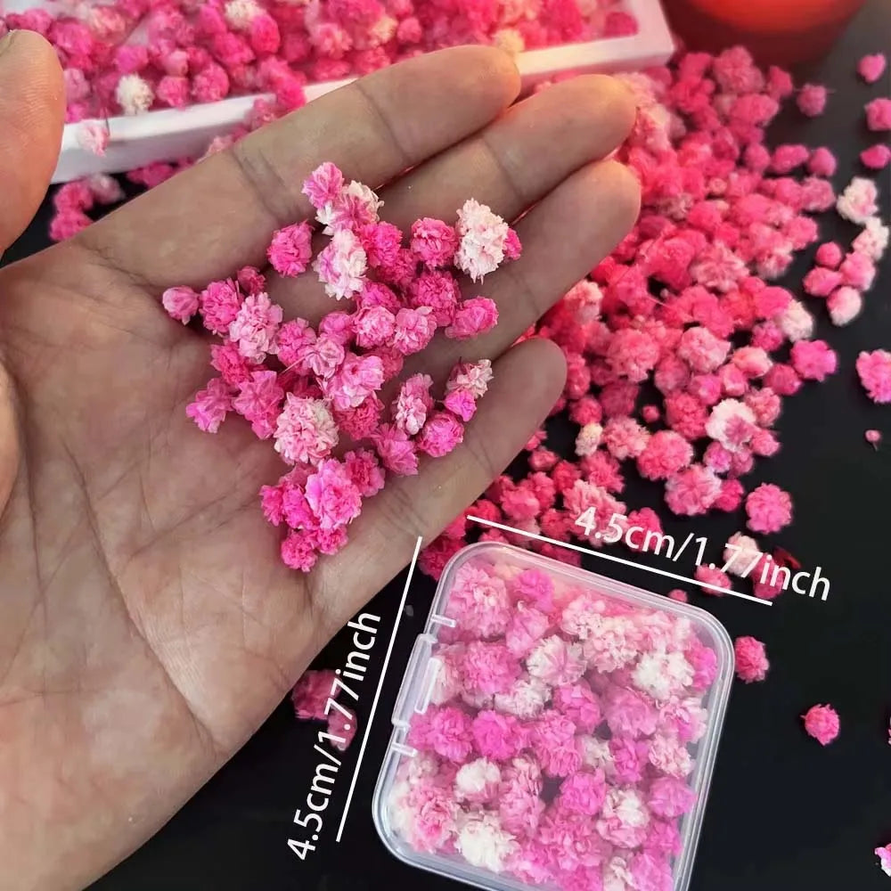 Pink Pressed Flower Mix for Resin, Candles, Nails & Soap Crafts Dried Pressed Flowers Zpaxo 1 BOX