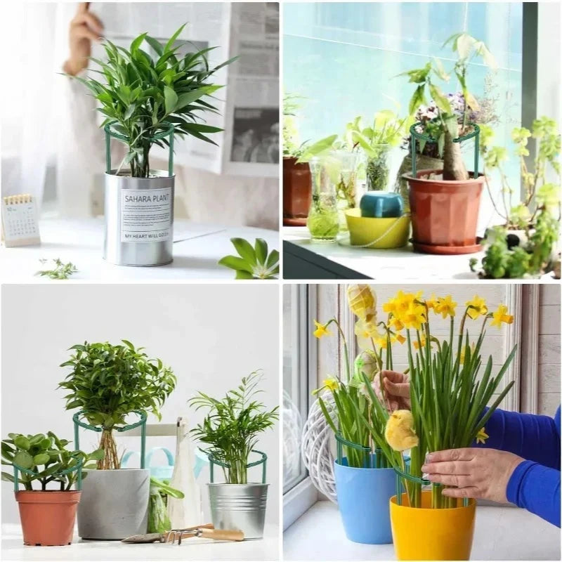 Plastic Plant Support Pile Stand Flowers Greenhouses Arrangement
