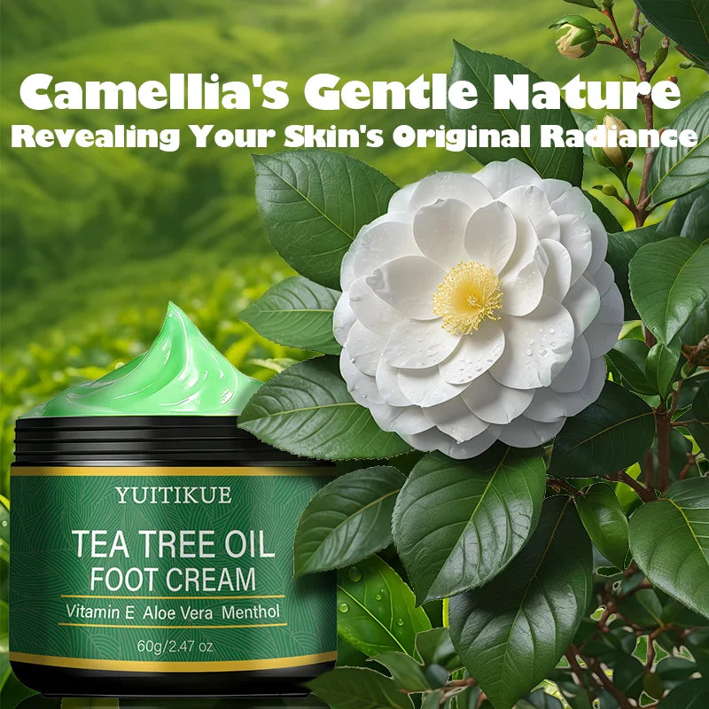 YUITIKUE Tea Tree Oil Foot Cream – Smooth Rough Skin, 60g Foot Care Cream Zpaxo