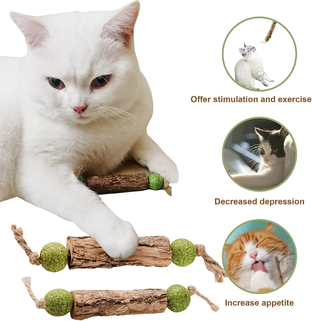 Cat Cleaning Teeth Pure Natural Catnip Molar Toothpaste Stick
