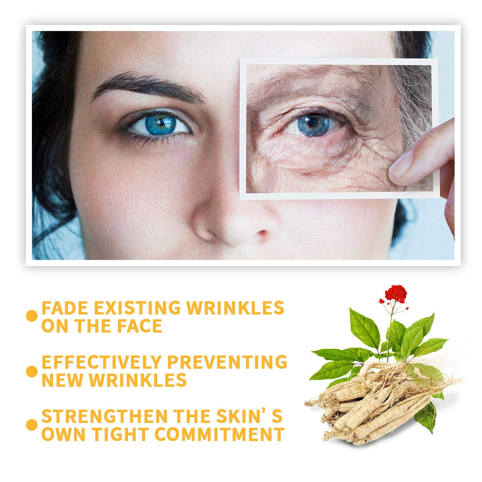 Ginseng Anti-Wrinkle Serum – Hyaluronic Acid & Niacinamide Anti-Aging Face Serum Zpaxo