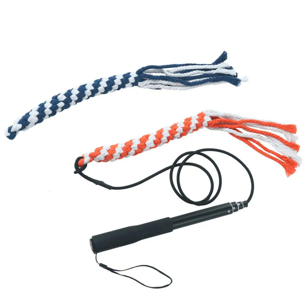 Retractable Dog Trainer Interactive Outside Chew Stick Pet Training