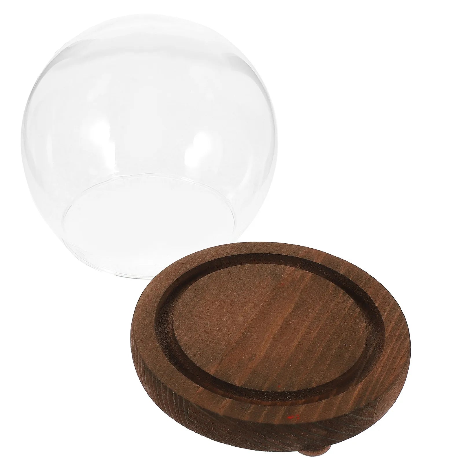 Miniature Round Glass Dome Wood Base Display Case Clear Cover Eternal