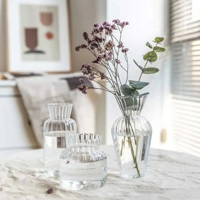 Scandinavian Transparent Vase Plant Flower Pot Hydroponic Container