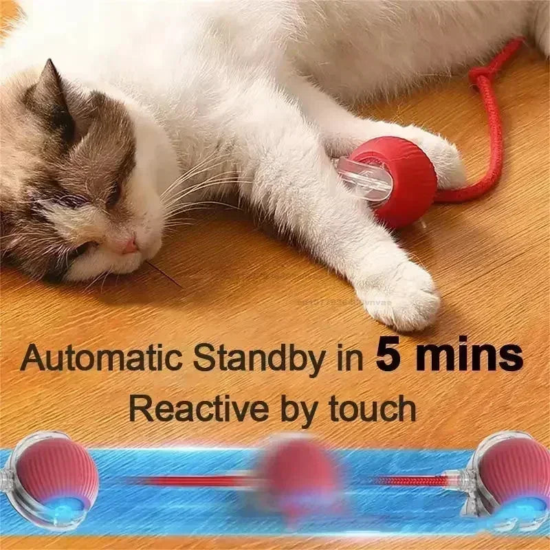 Cat Interactive Ball Toys Automatic Rolling Ball Faux Tail Rechargeable Pet Electric Toy Dog Cat Training Imitate Mouse Cat Toys Zpaxo