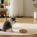 Ceramic Cat Bowl Thoughtful Pet Lovers Large Capacity Comfortable