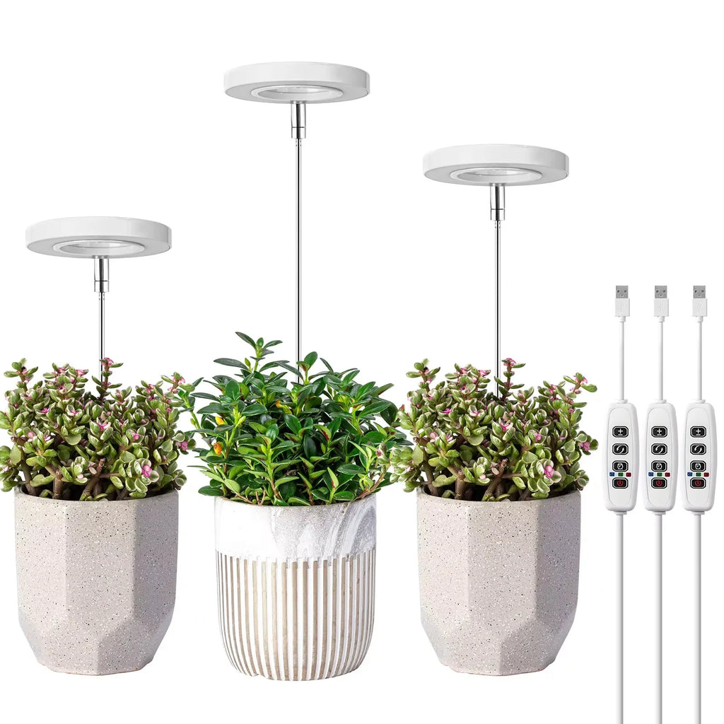 Full Spectrum Fill Light LED Grow Lamp for Indoor Solar Plants with Adjustable Height, 3/9/12H Timer 10-Level Dimming for Garden Zpaxo