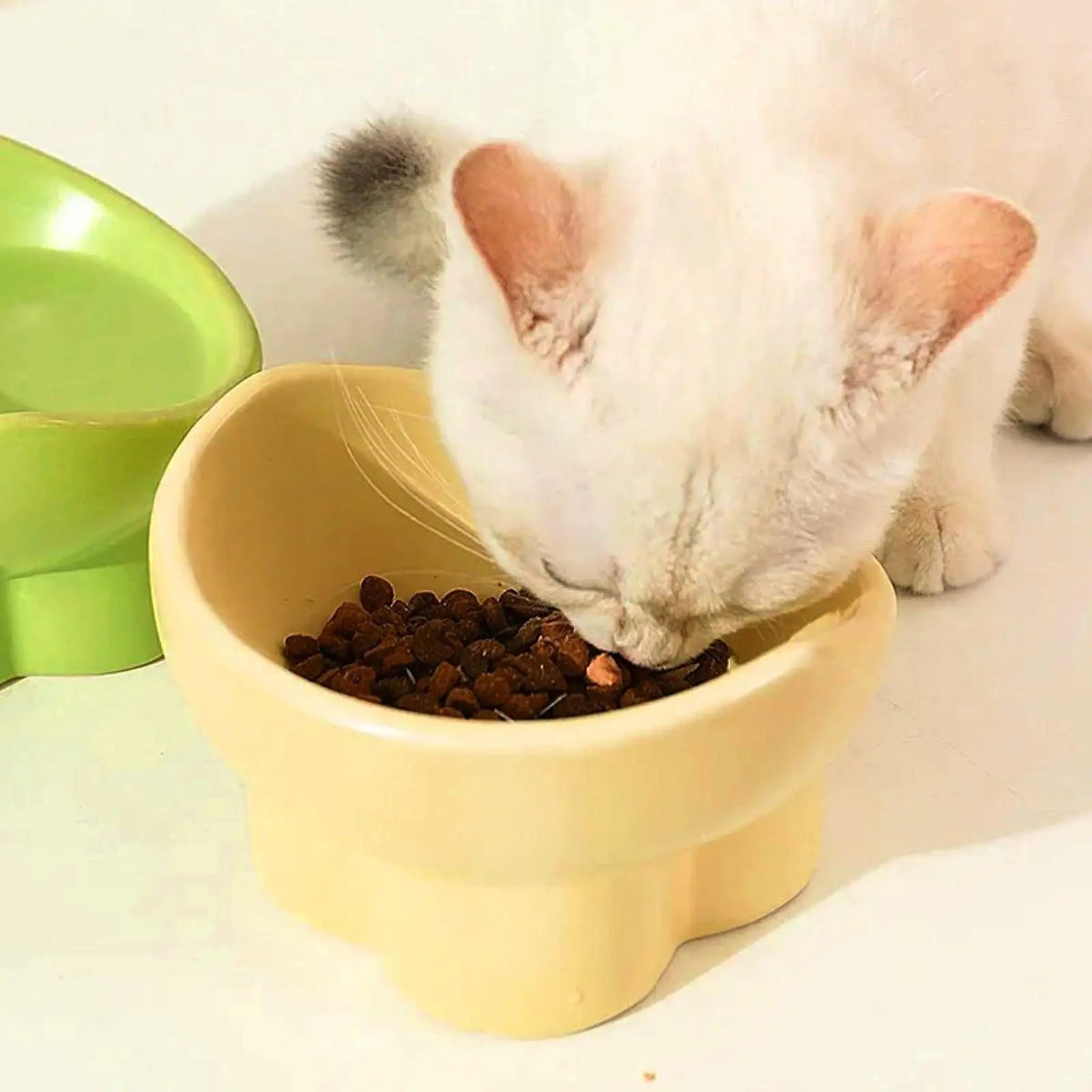 Raised Cat Bowl Small Dog Waterer Protect Pet's Spine Stable Durable Tilted Pet Feeder Kitten Water Bowl for Small Medium Dogs Zpaxo