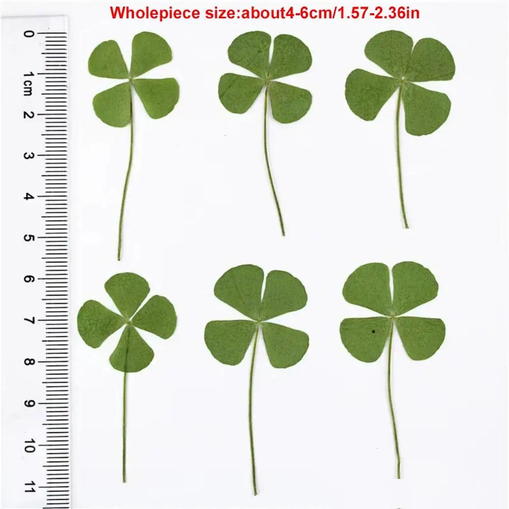 Lucky Four-leaf Clover Postcards Grass Acrylic Transparent Wishing Zpaxo