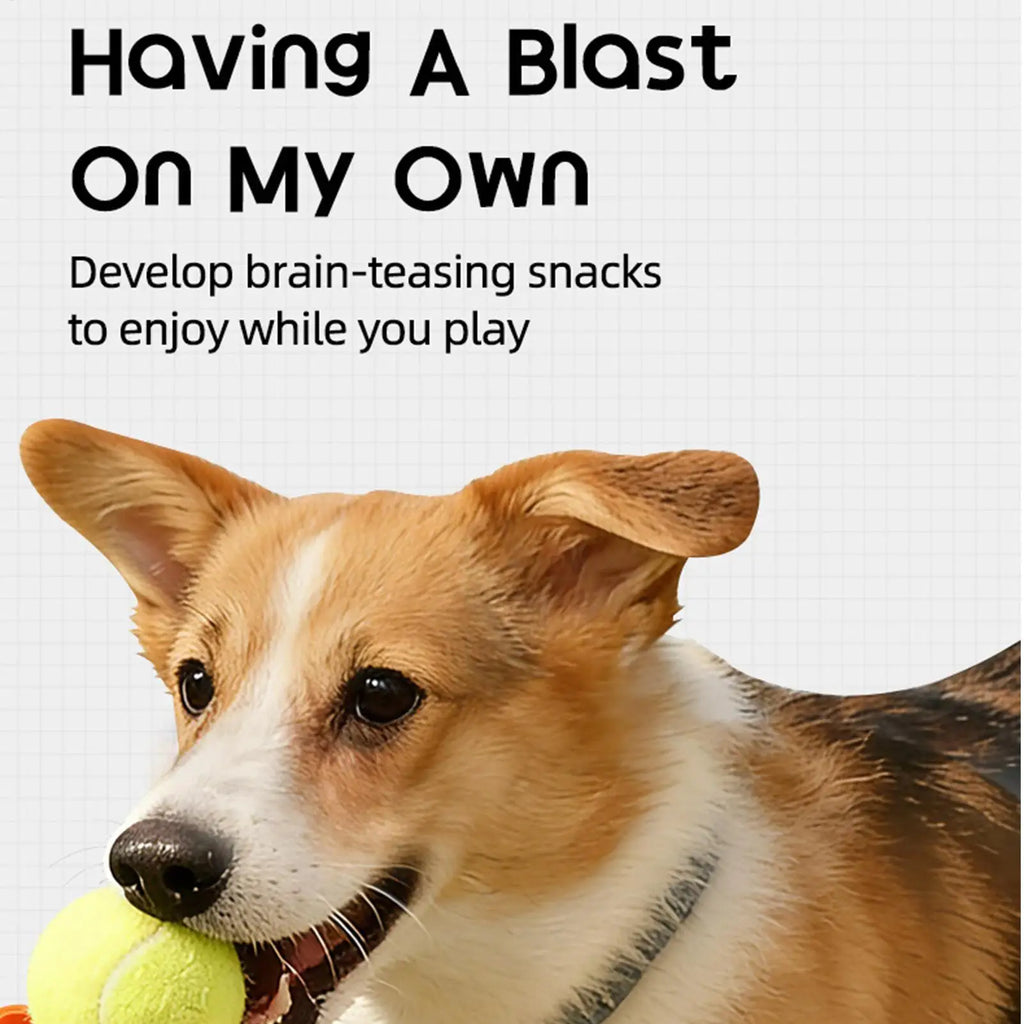 Tennis Ball Thrower For Dogs Interactive Training Toy Dog Fetch Machine With Treat Dispenser For Apartment Living Room Home Zpaxo