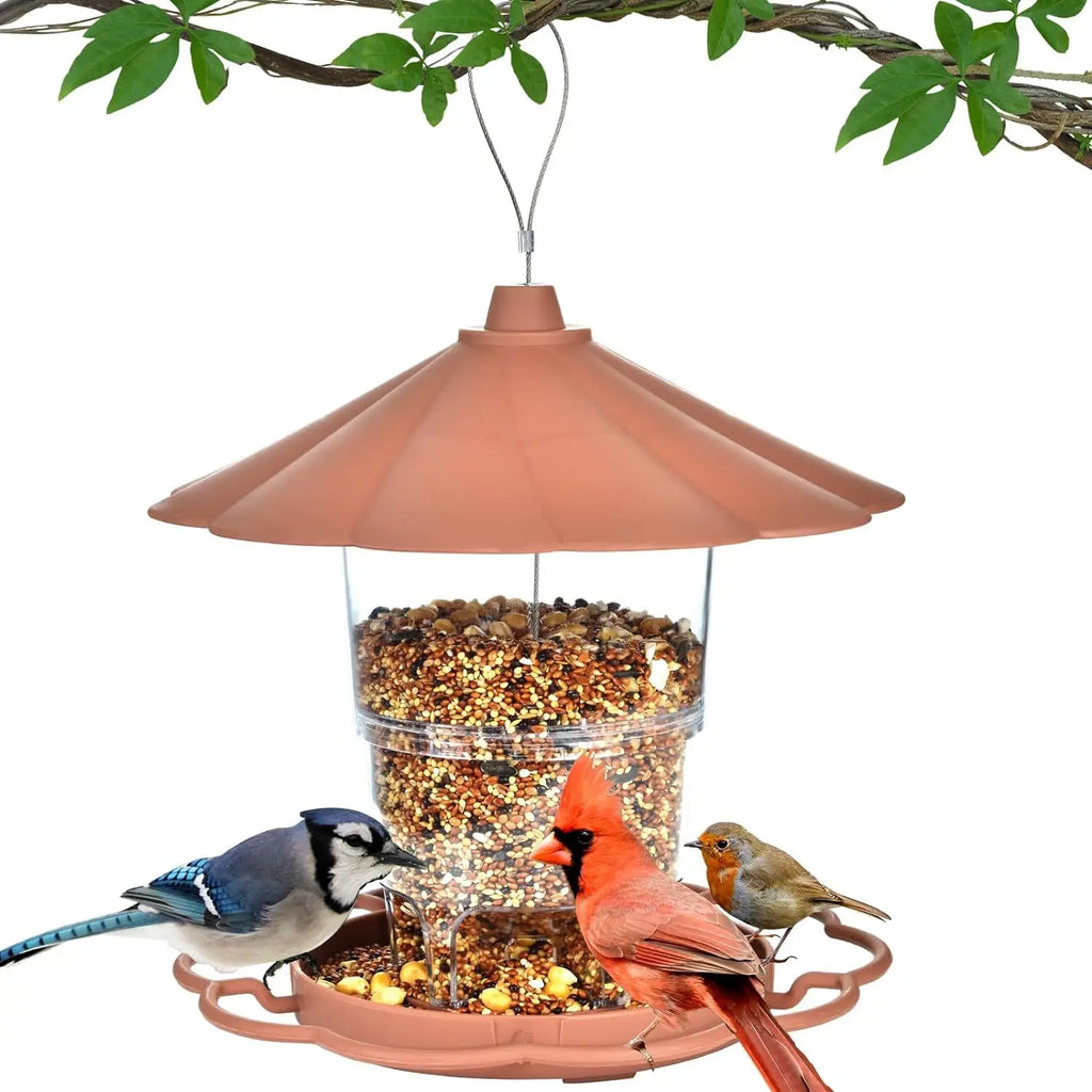 Backyard Bird Feeders Wild Attract Diverse Birds Elegant Waterproof
